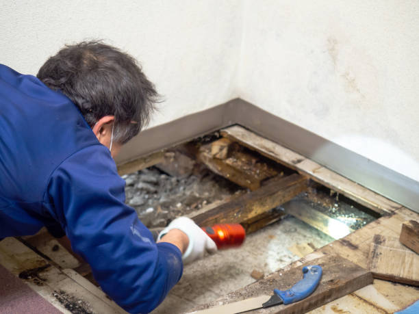 Best Crawl Space Mold Removal  in Fredericksburg, PA