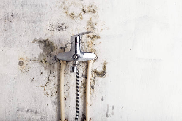 Best Commercial Mold Removal  in Fredericksburg, PA