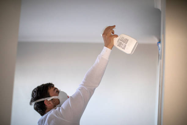 Best Mold Removal and Inspection  in Fredericksburg, PA