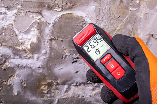 Home Mold Removal in Fredericksburg, PA