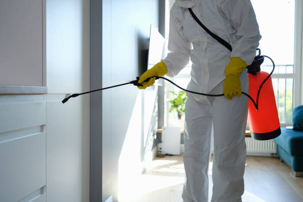 Best Attic Mold Removal  in Fredericksburg, PA